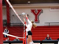 2026- vvbwillard-0501