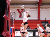 2026- vvbwillard-0562