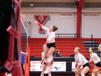 2026- vvbwillard-0563