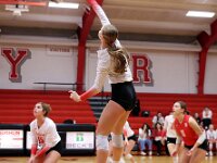 2026- vvbwillard-0579