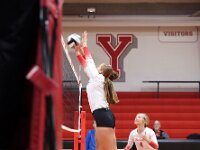 2026- vvbwillard-0590