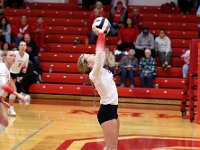 2026- vvbwillard-0770