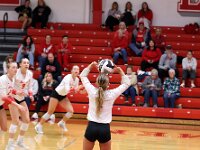 2026- vvbwillard-0797