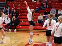 2026- vvbwillard-0804