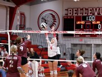 2026- vvbwillard-0955