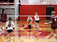 2026- vvbwillard-0964