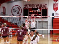 2026- vvbwillard-0967